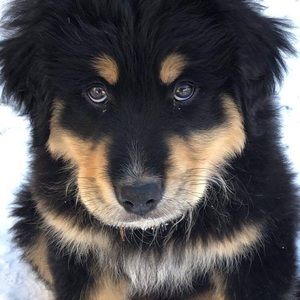 Meet your Posher, Sky